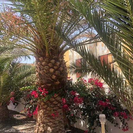 Apartment Sunny Complex Amaya Fuerteventura *